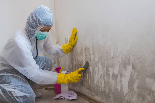 Best Residential Mold Removal  in Oakley, CA