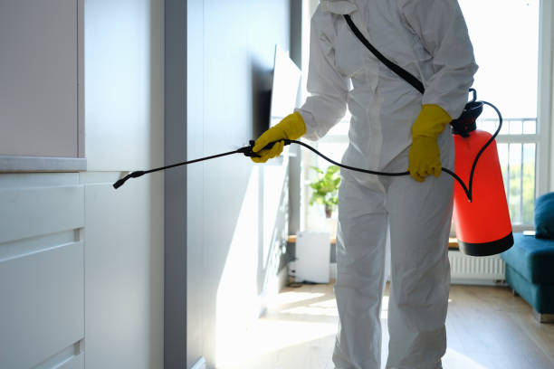 Best Mold Remediation  in Oakley, CA