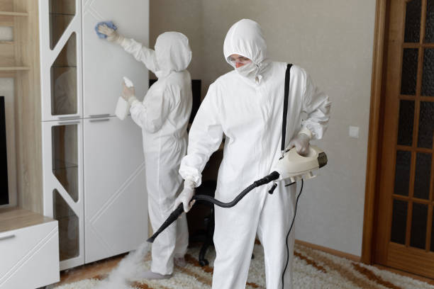 Best Attic Mold Removal  in Oakley, CA