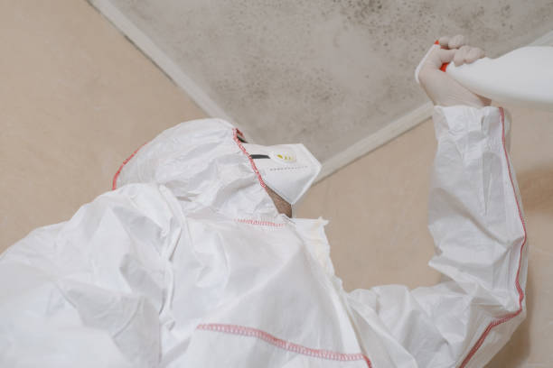 Best Crawl Space Mold Removal  in Oakley, CA
