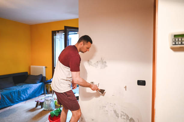 Best Mold Cleaning Services  in Oakley, CA